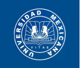 Universidad Mexicana