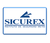 Insituto de Seguridad Metis