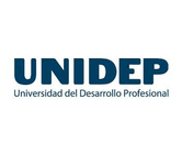 Universidad del Desarrollo Profesional